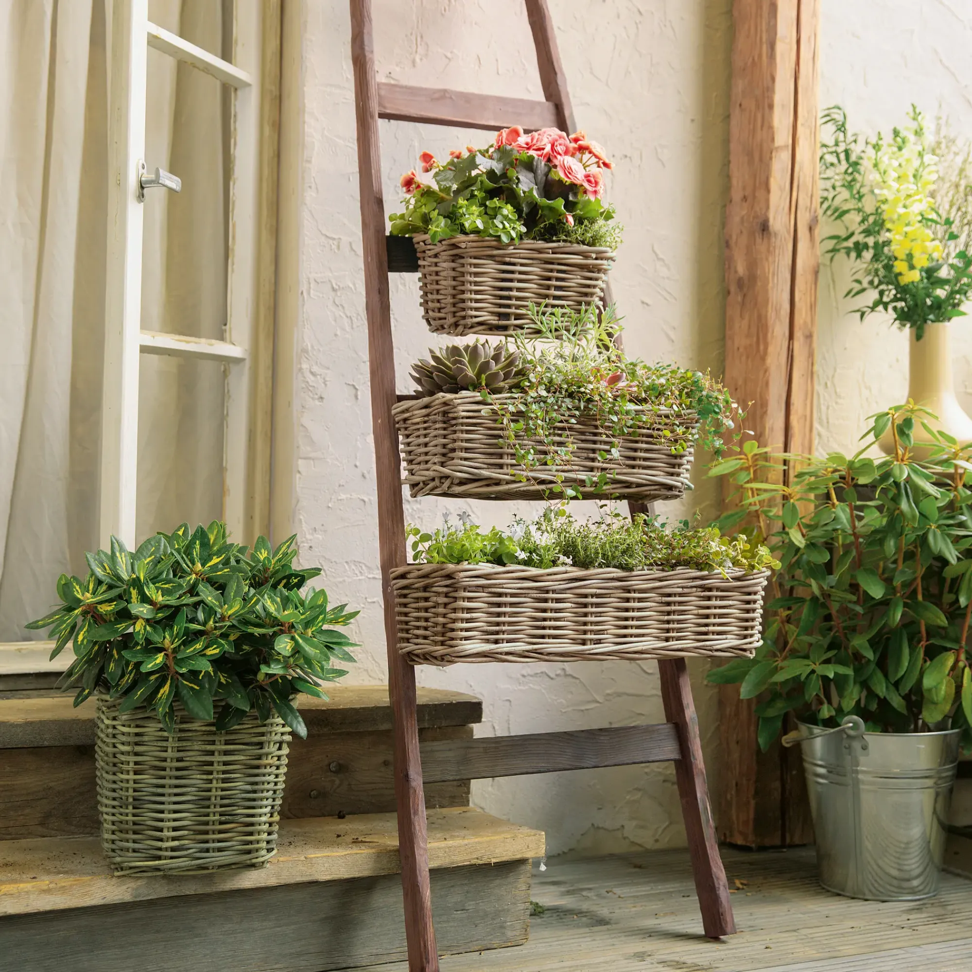 Herbstgarten|Pflanzkörbe|Frank Handels GmbH & Co. KG Balkonpflanzer "Rattan", mittel