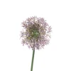Kunstpflanzen|Frank Handels GmbH & Co. KG Blume "Allium"