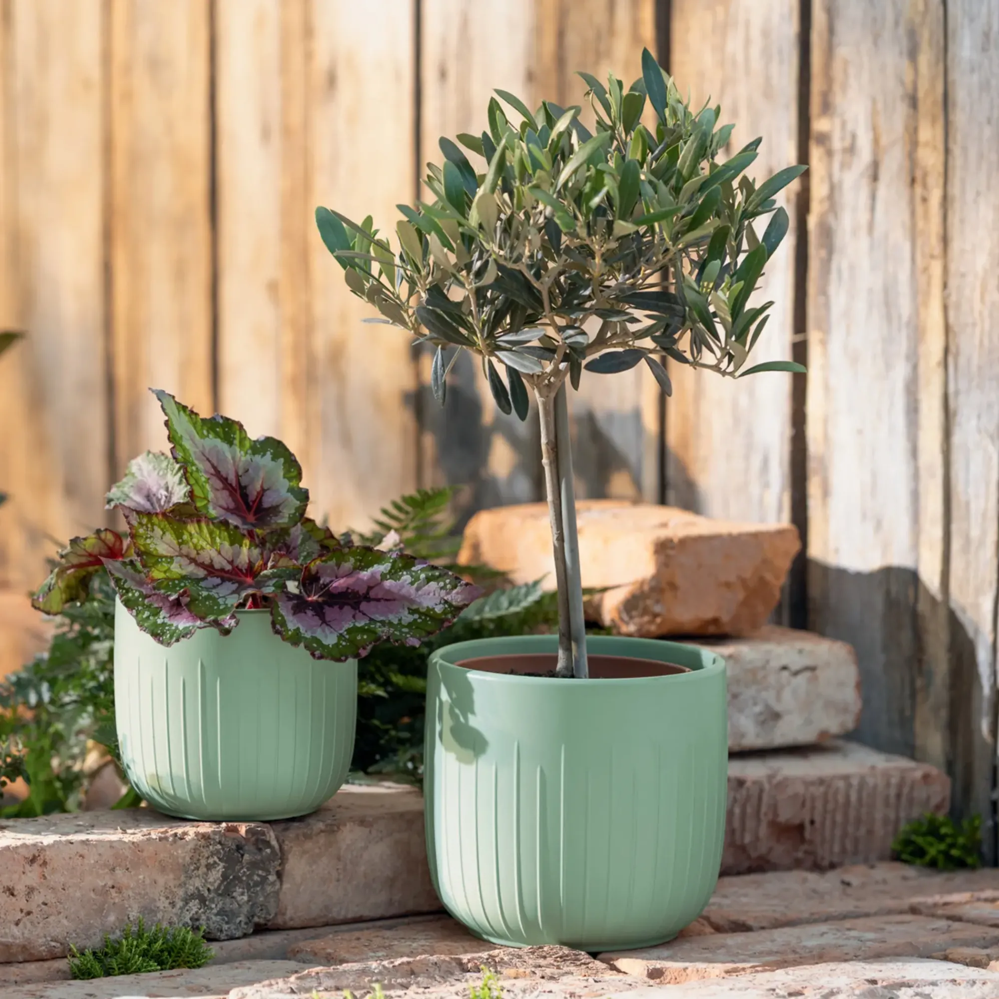 Pflanztöpfe|Frank Handels GmbH & Co. KG Blumentopf "Salbei", 2er Set