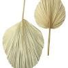 Badezimmer|Wanddeko|Frank Handels GmbH & Co. KG Dekoblatt "Palme", 2er Set