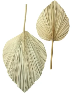 Badezimmer|Wanddeko|Frank Handels GmbH & Co. KG Dekoblatt "Palme", 2er Set