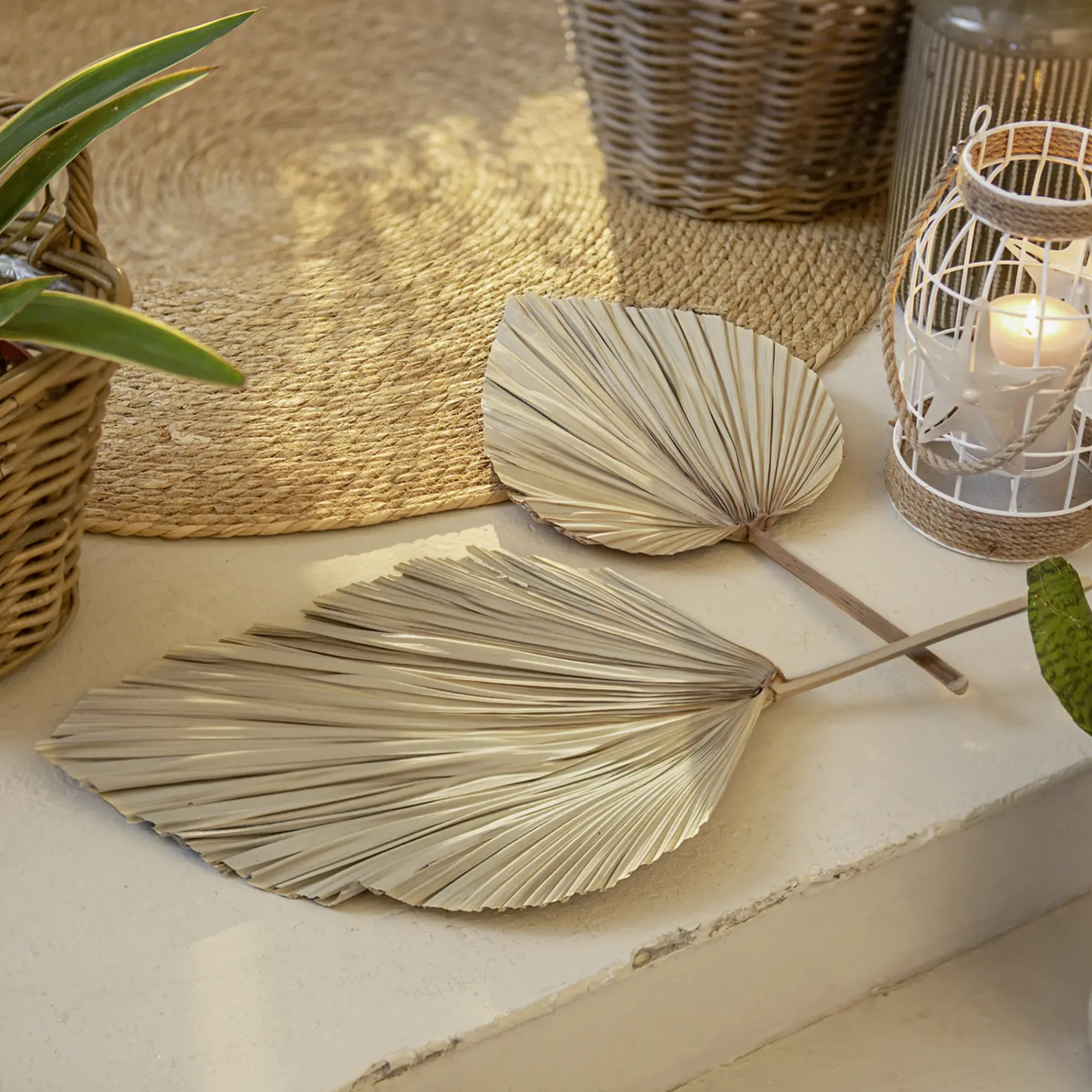 Badezimmer|Wanddeko|Frank Handels GmbH & Co. KG Dekoblatt "Palme", 2er Set