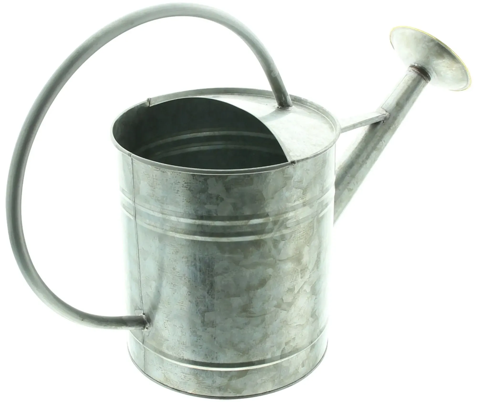 Gartendeko|Frank Handels GmbH & Co. KG Dekogießkanne "Silver"