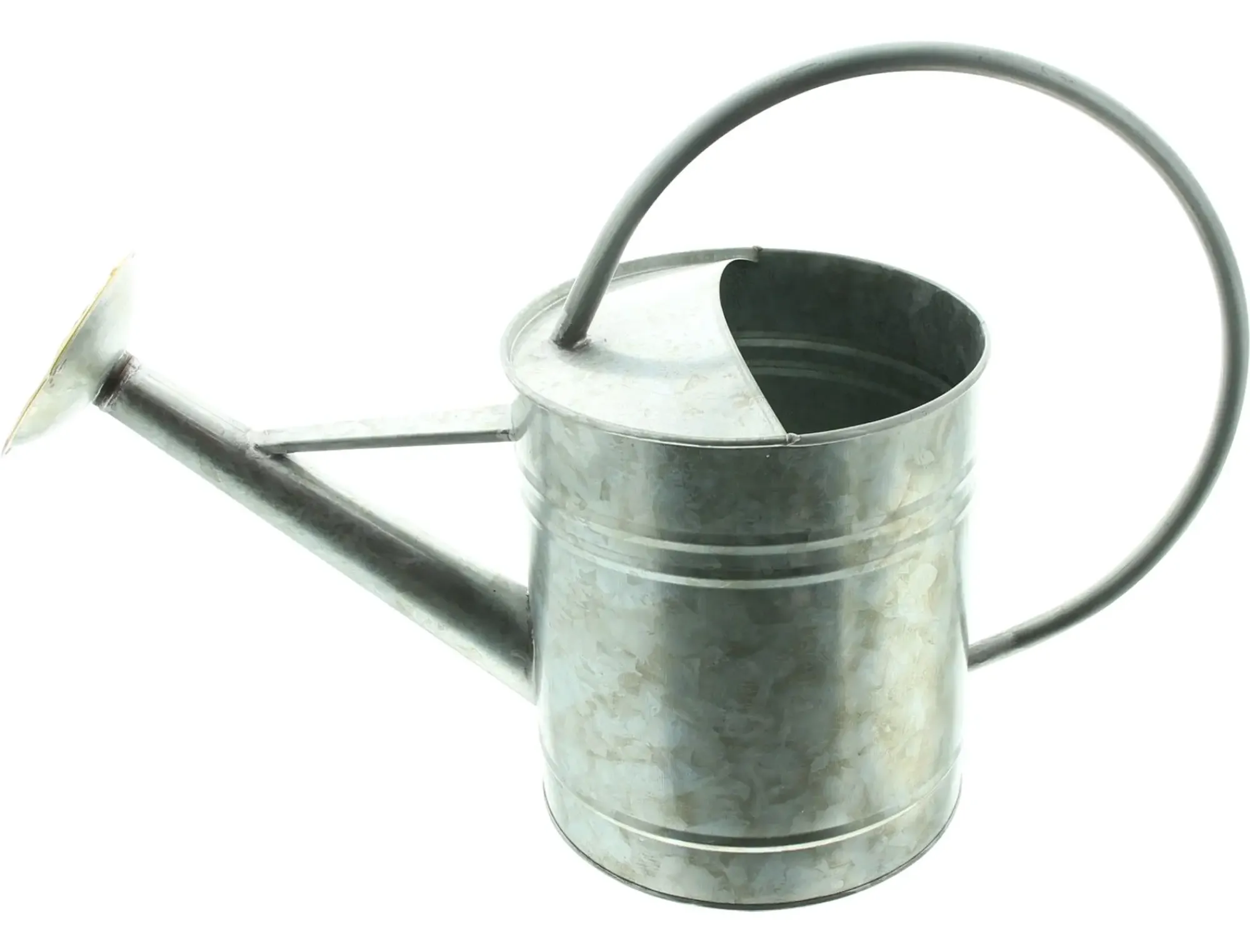 Gartendeko|Frank Handels GmbH & Co. KG Dekogießkanne "Silver"