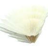 Home&Living - Weihnachten|Dekohänger|Frank Handels GmbH & Co. KG Deko-Hänger "White Blossom"