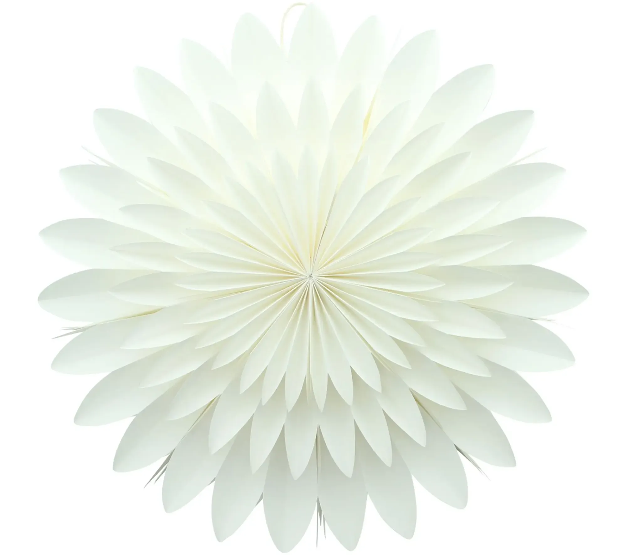 Home&Living - Weihnachten|Dekohänger|Frank Handels GmbH & Co. KG Deko-Hänger "White Blossom"