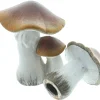 Dekopilze|Frank Handels GmbH & Co. KG Deko-Pilz "Brownie", 2er Set