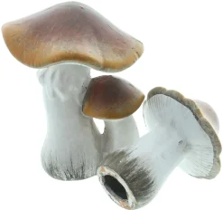 Dekopilze|Frank Handels GmbH & Co. KG Deko-Pilz "Brownie", 2er Set