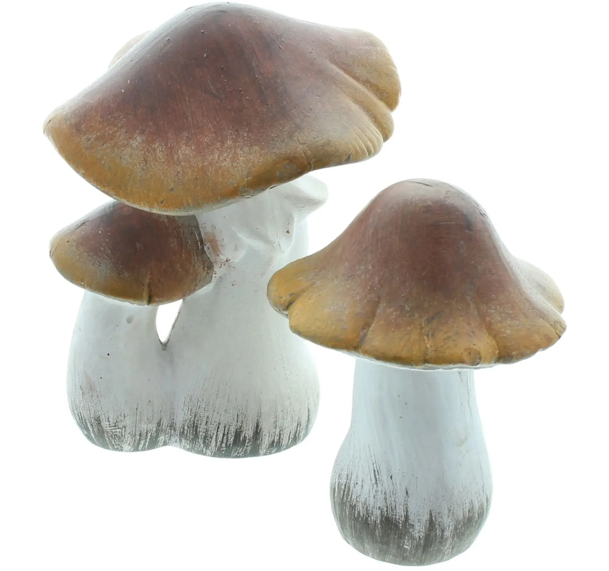 Dekopilze|Frank Handels GmbH & Co. KG Deko-Pilz "Brownie", 2er Set