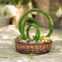 Herbstgarten|Weihnachtliche Dekoringe|Frank Handels GmbH & Co. KG Dekoring "Moos", 3er Set