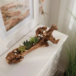 Dekobündel|Frank Handels GmbH & Co. KG Dekowurzel "Rustic Art"