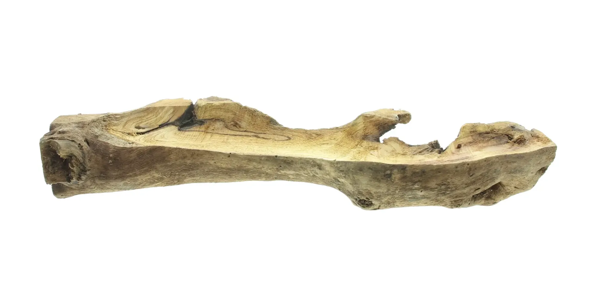 Dekobündel|Frank Handels GmbH & Co. KG Dekowurzel "Rustic Art"
