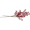 Zubehör Für Adventskränze|Kunstpflanzen|Frank Handels GmbH & Co. KG Deko-Zweig "Rote Beeren", 2er Set