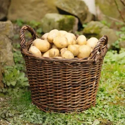Herbstgarten|Füllkörbe & Universalkörbe|Frank Handels GmbH & Co. KG Füllkorb "Natur"