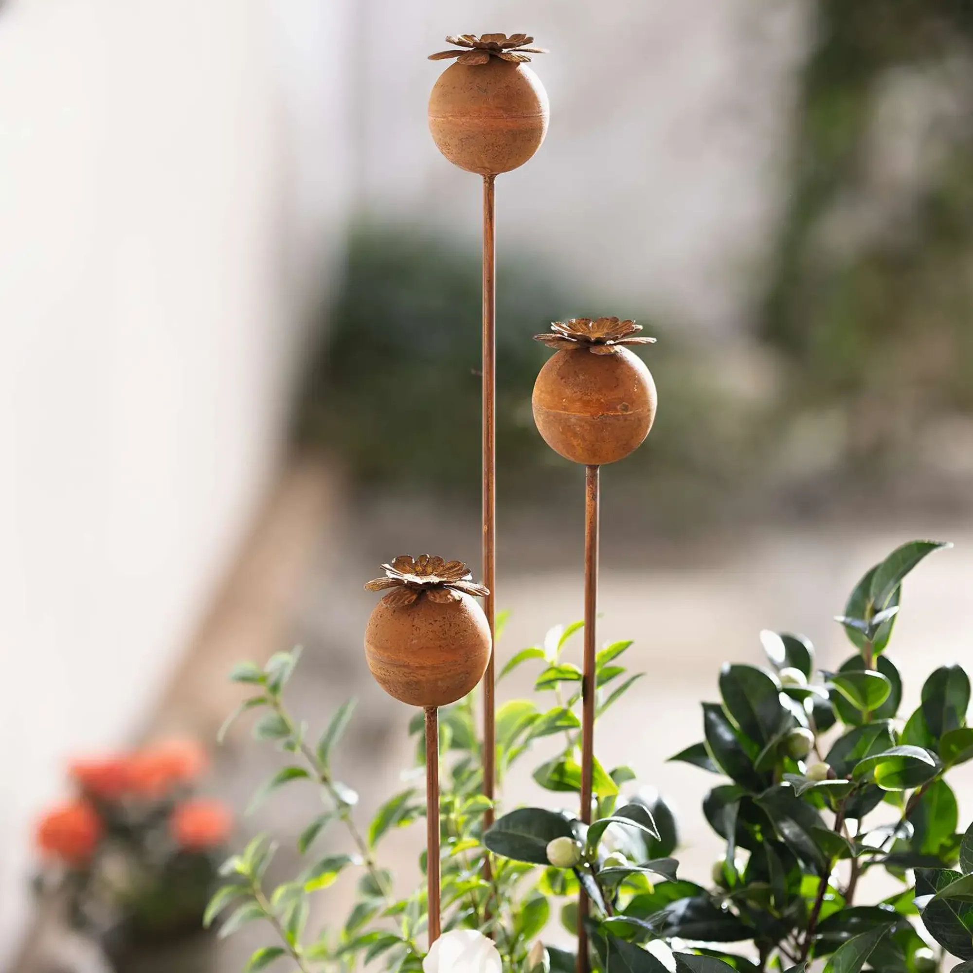 Gartenstecker|Frank Handels GmbH & Co. KG Gartenstecker "Mohn", 3er Set