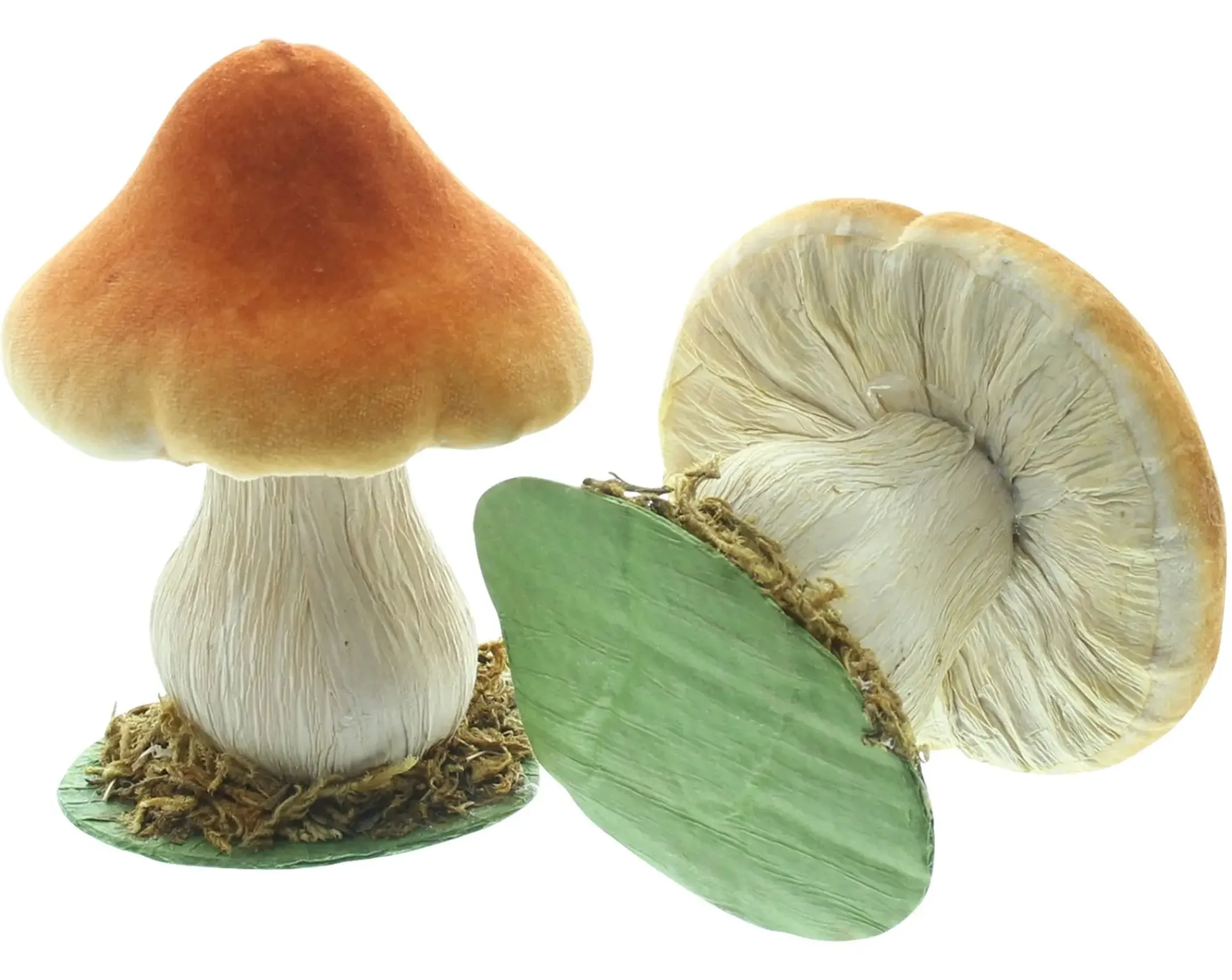 Dekopilze|Frank Handels GmbH & Co. KG Herbst-Deko "Pilzchen", 2er Set