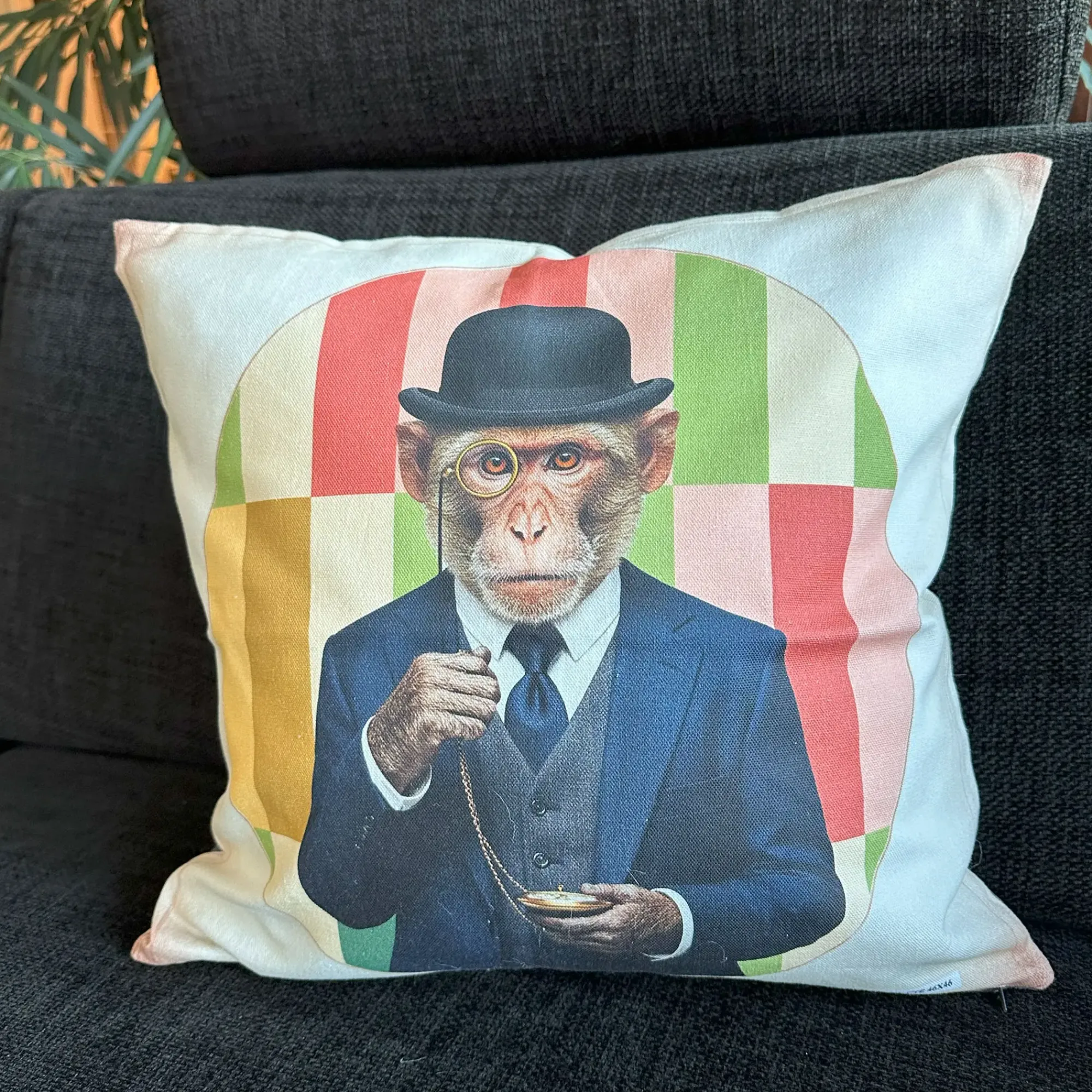 Kissenhüllen|Frank Handels GmbH & Co. KG Kissenhülle "Monkey Charles"