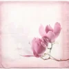 Kissenhüllen|Frank Handels GmbH & Co. KG Kissenhülle "Tulpenmagnolie"