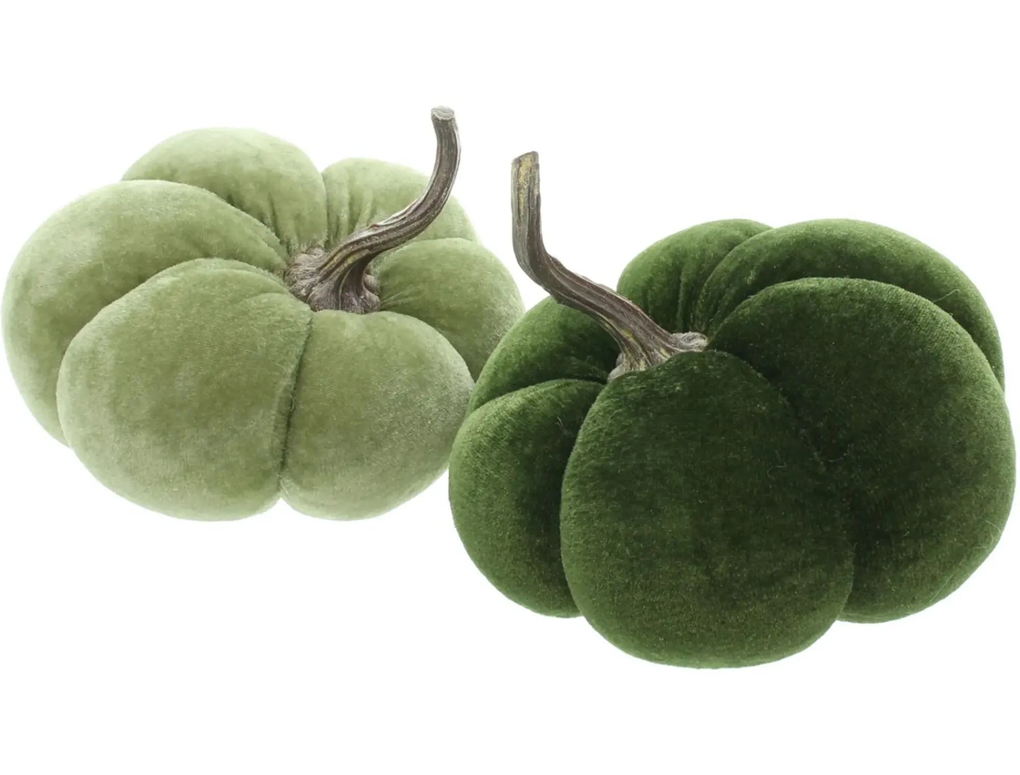 Dekokürbisse|Frank Handels GmbH & Co. KG Kürbis "Green", 2er Set
