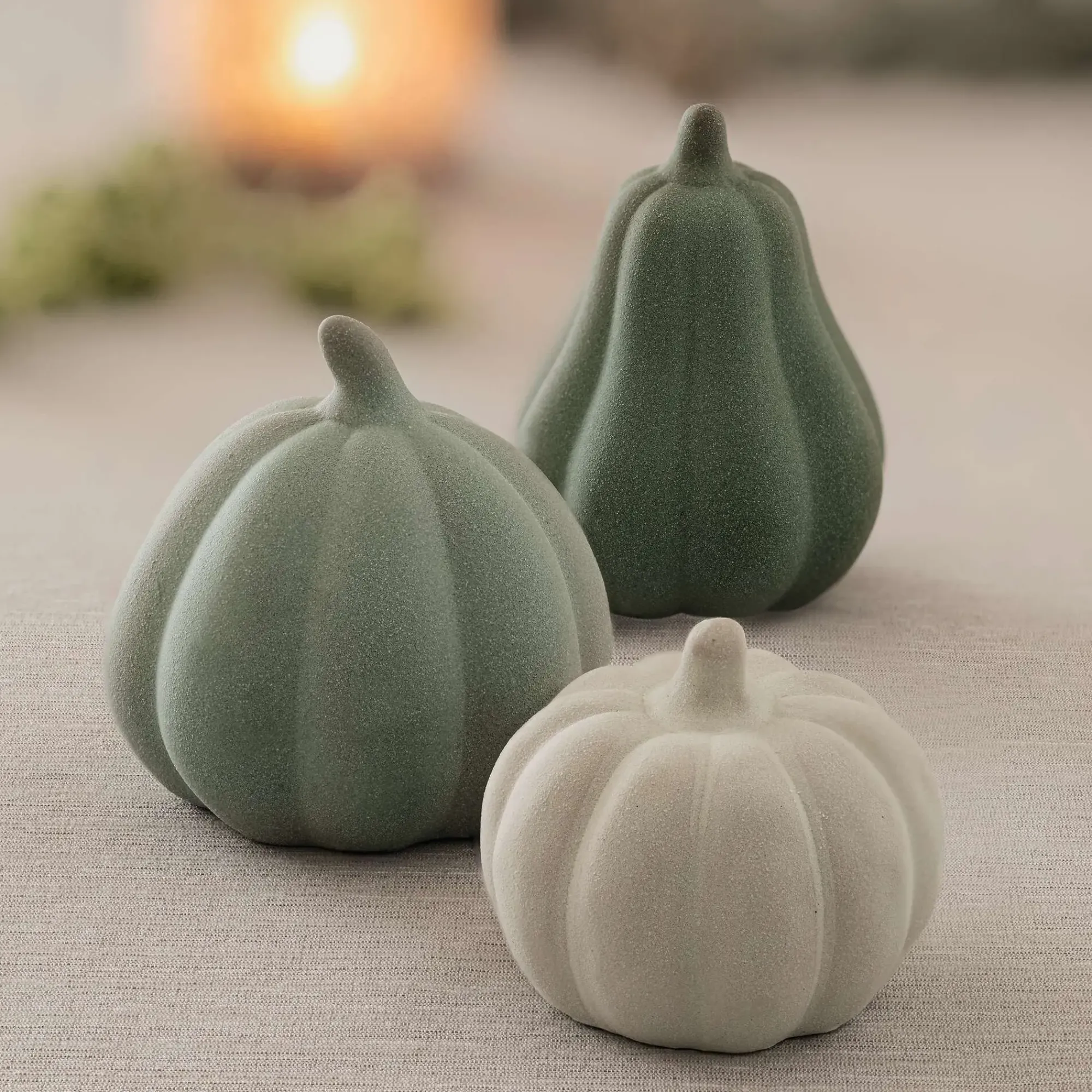 Dekokürbisse|Frank Handels GmbH & Co. KG Kürbis "Green Shades", 3er Set