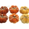 Dekokürbisse|Frank Handels GmbH & Co. KG Kürbis "Herbstfarben", 6er Set
