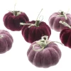 Dekokürbisse|Frank Handels GmbH & Co. KG Kürbis "Purple Mix", 6er Set