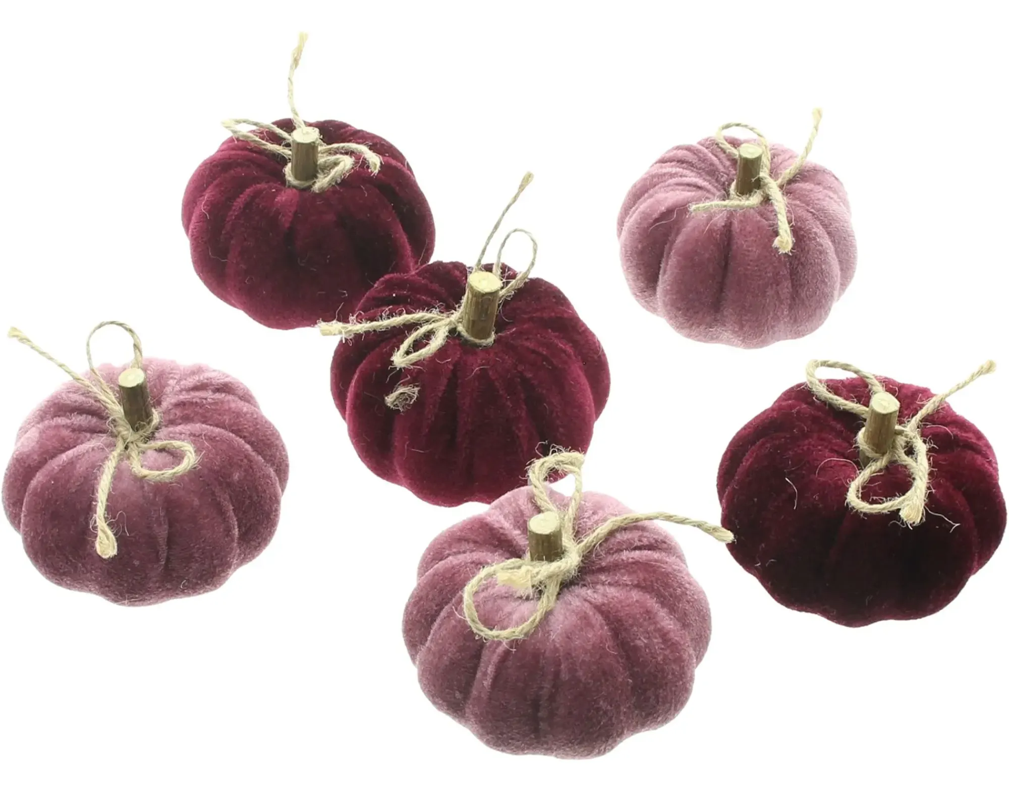 Dekokürbisse|Frank Handels GmbH & Co. KG Kürbis "Purple Mix", 6er Set