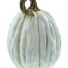 Dekokürbisse|Frank Handels GmbH & Co. KG Kürbis "White", 3er Set