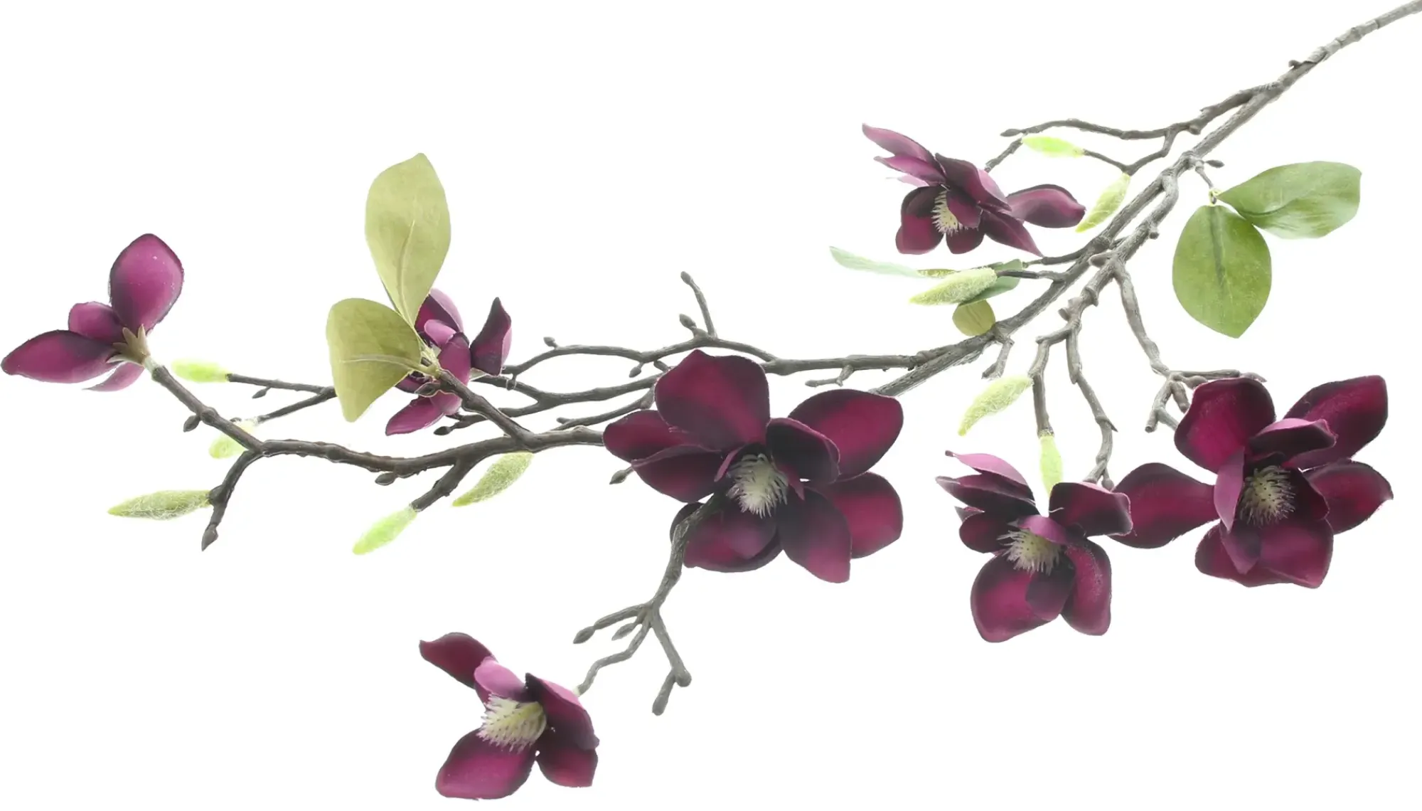 Kunstpflanzen|Frank Handels GmbH & Co. KG Kunstblume "Magnolienzweig"