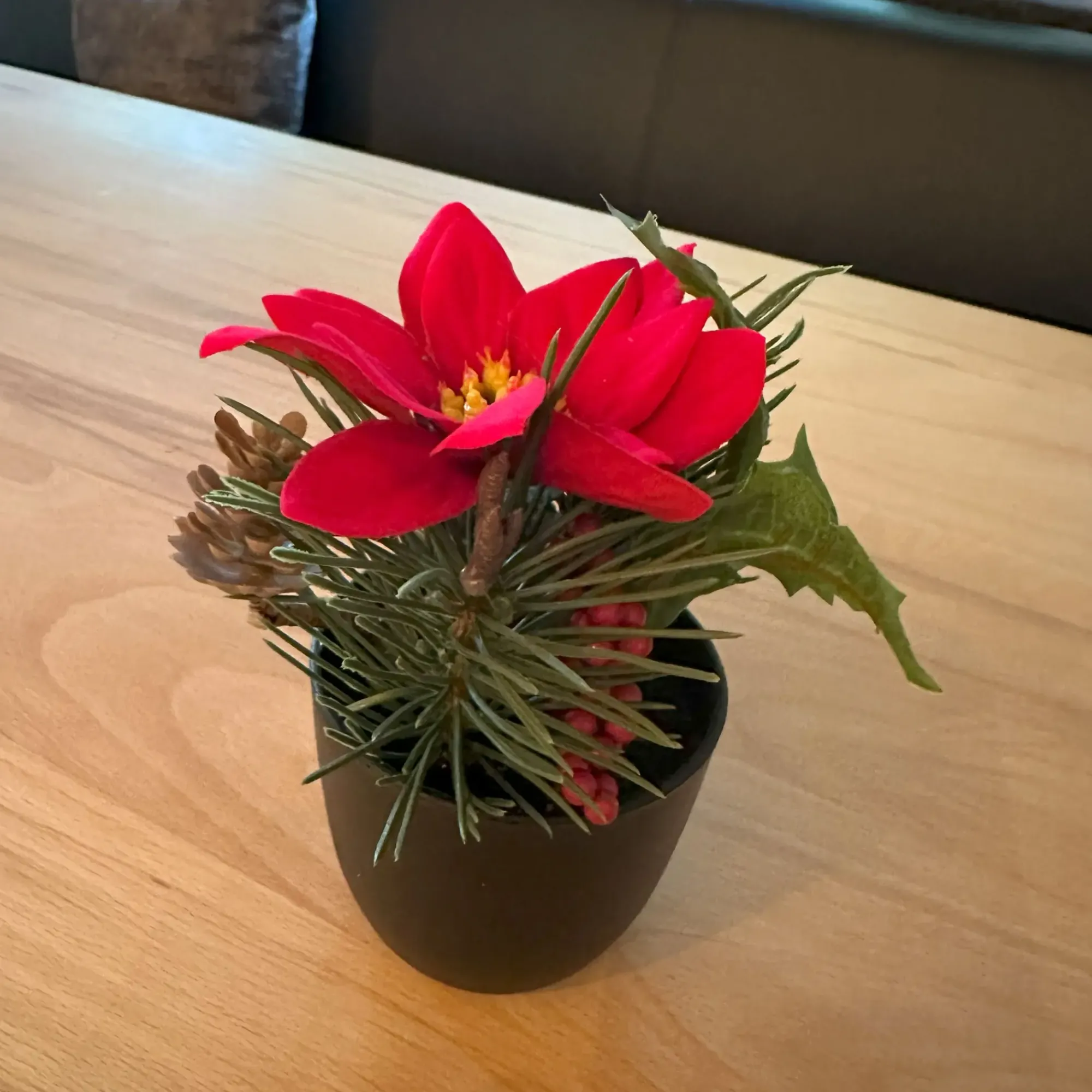 Gestecke|Frank Handels GmbH & Co. KG Kunstblumen-Arrangement "Weihnachtsstern"
