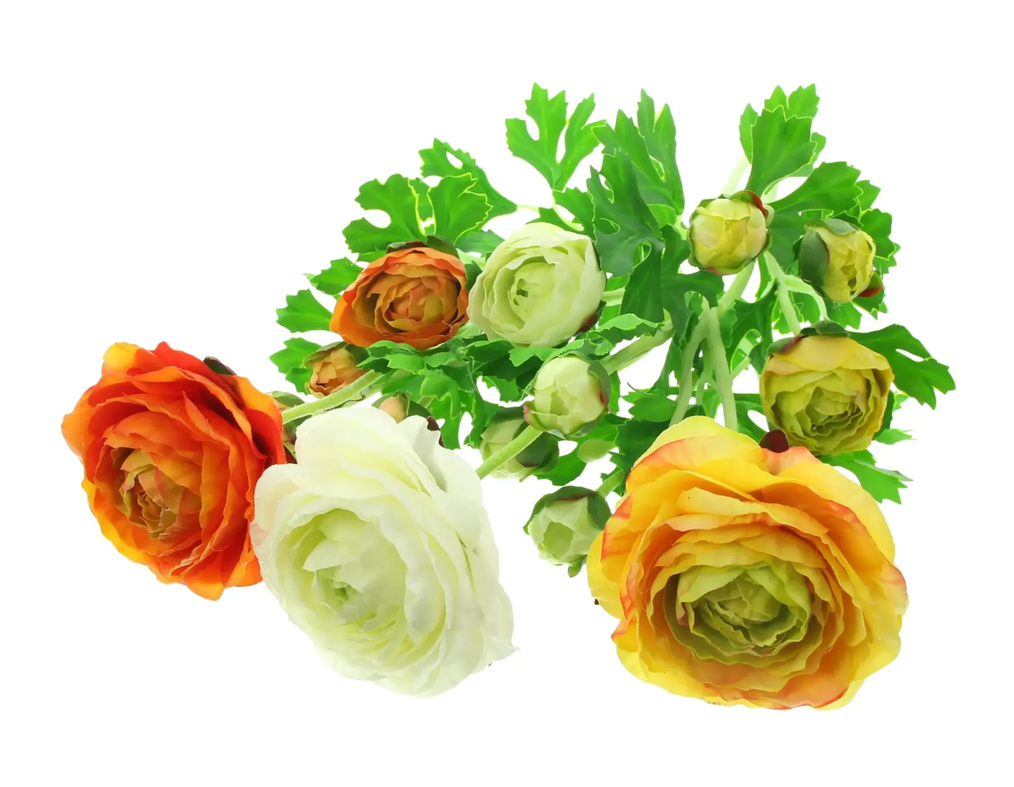 Kunstpflanzen|Frank Handels GmbH & Co. KG Kunstblume "Ranunkeln", 3er Set