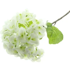 Kunstpflanzen|Frank Handels GmbH & Co. KG Kunstblume "Weiße Hortensie"