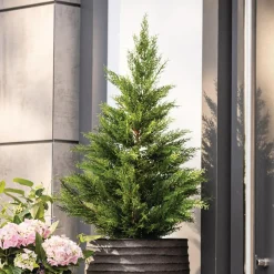 Zubehör Für Adventskränze|Weihnachtliche Gartendeko|Frank Handels GmbH & Co. KG Kunstpflanze
