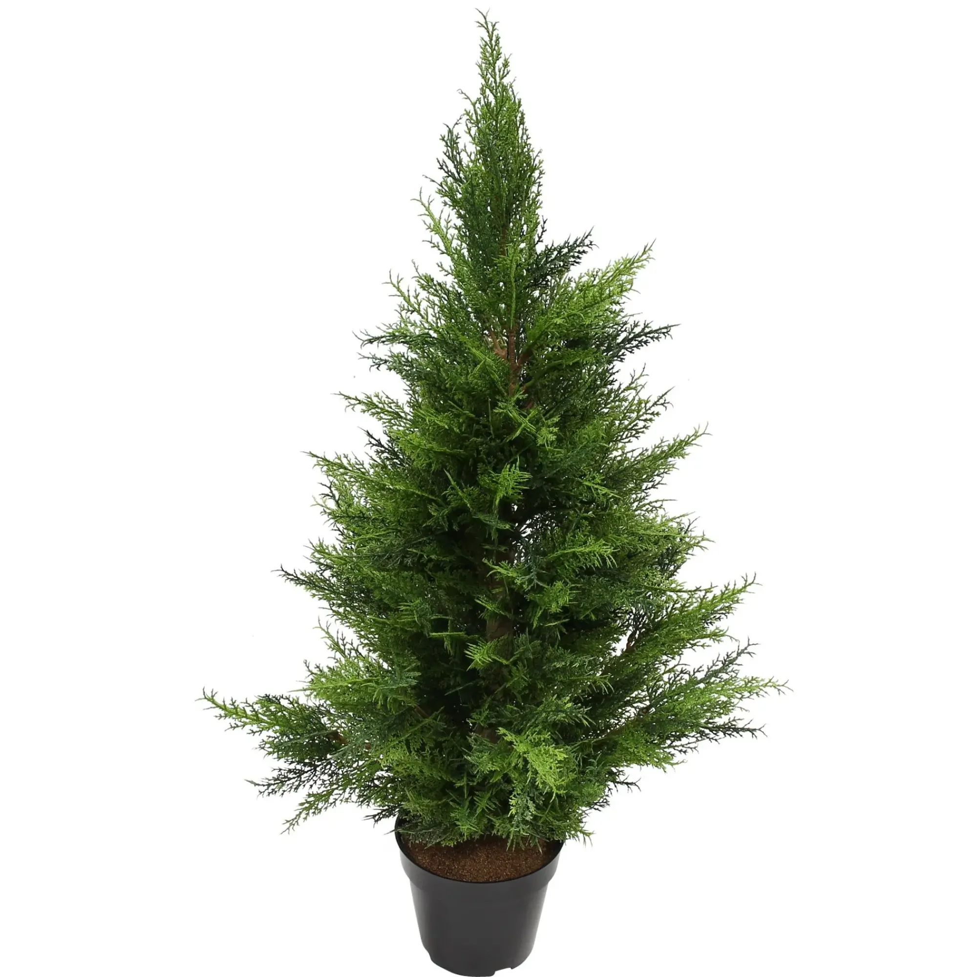 Zubehör Für Adventskränze|Weihnachtliche Gartendeko|Frank Handels GmbH & Co. KG Kunstpflanze "Konifere"
