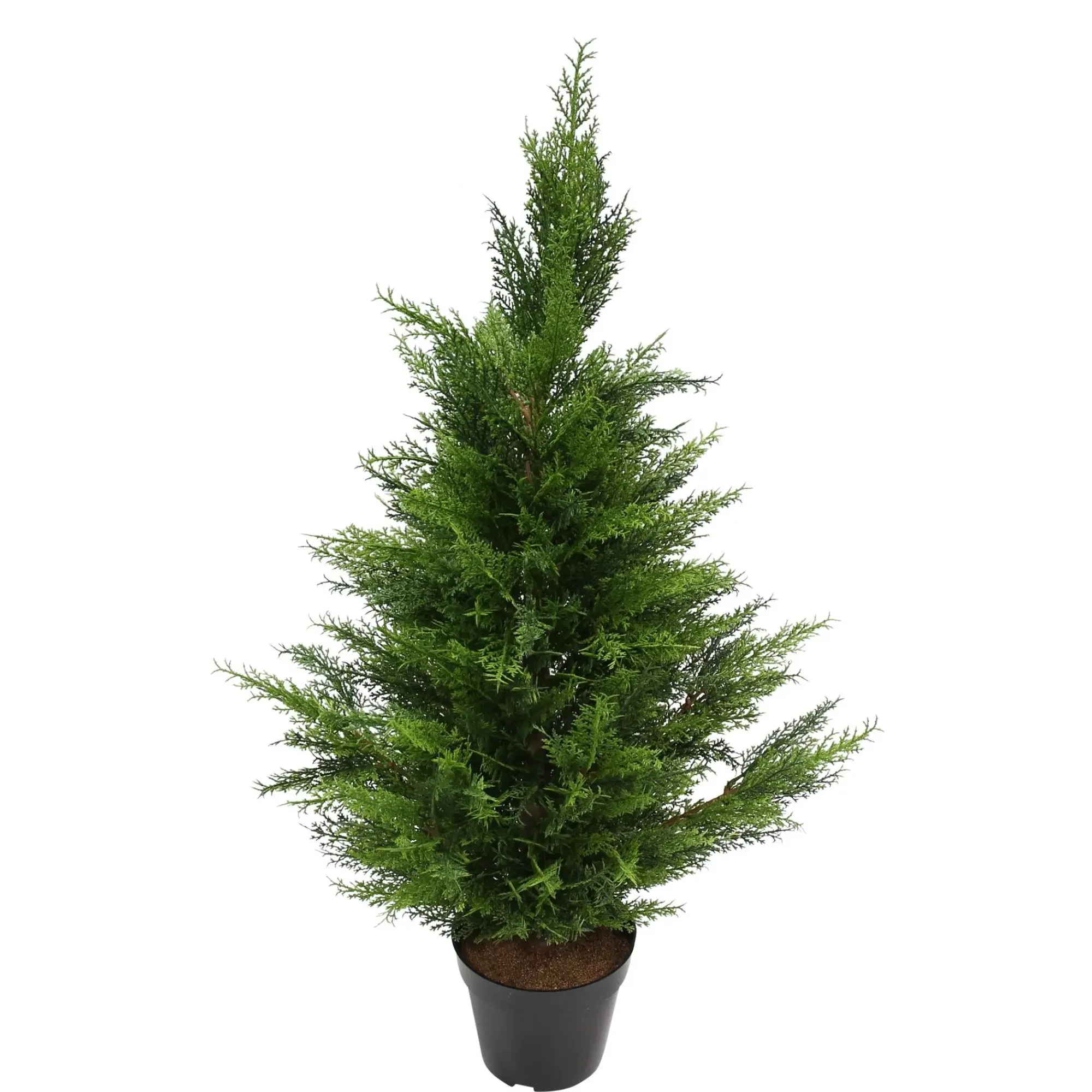 Zubehör Für Adventskränze|Weihnachtliche Gartendeko|Frank Handels GmbH & Co. KG Kunstpflanze "Konifere"