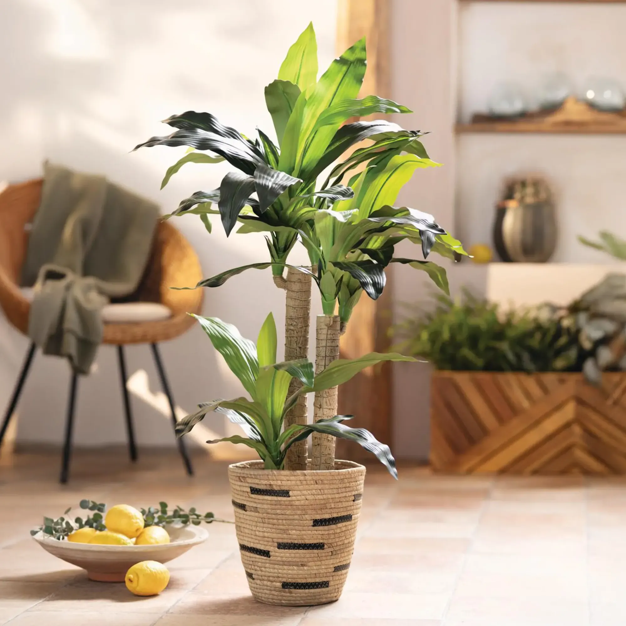 Kunstpflanzen|Frank Handels GmbH & Co. KG Kunstpflanze "Yucca-Palme"