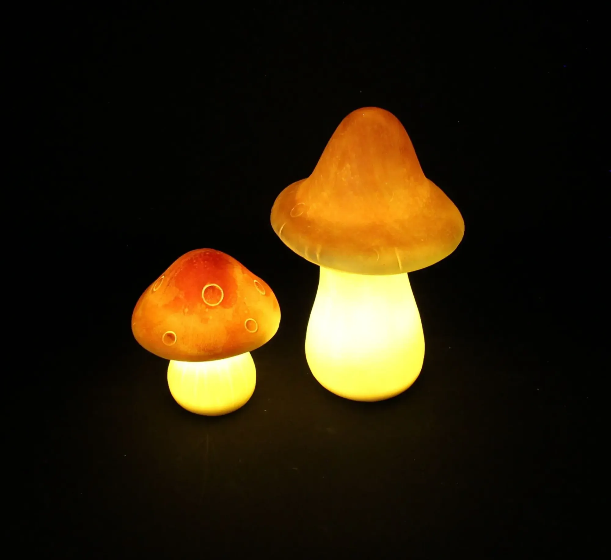 Dekopilze|Herbstliche Led-Leuchtdeko|Frank Handels GmbH & Co. KG LED-Deko "Pilz", 2er Set