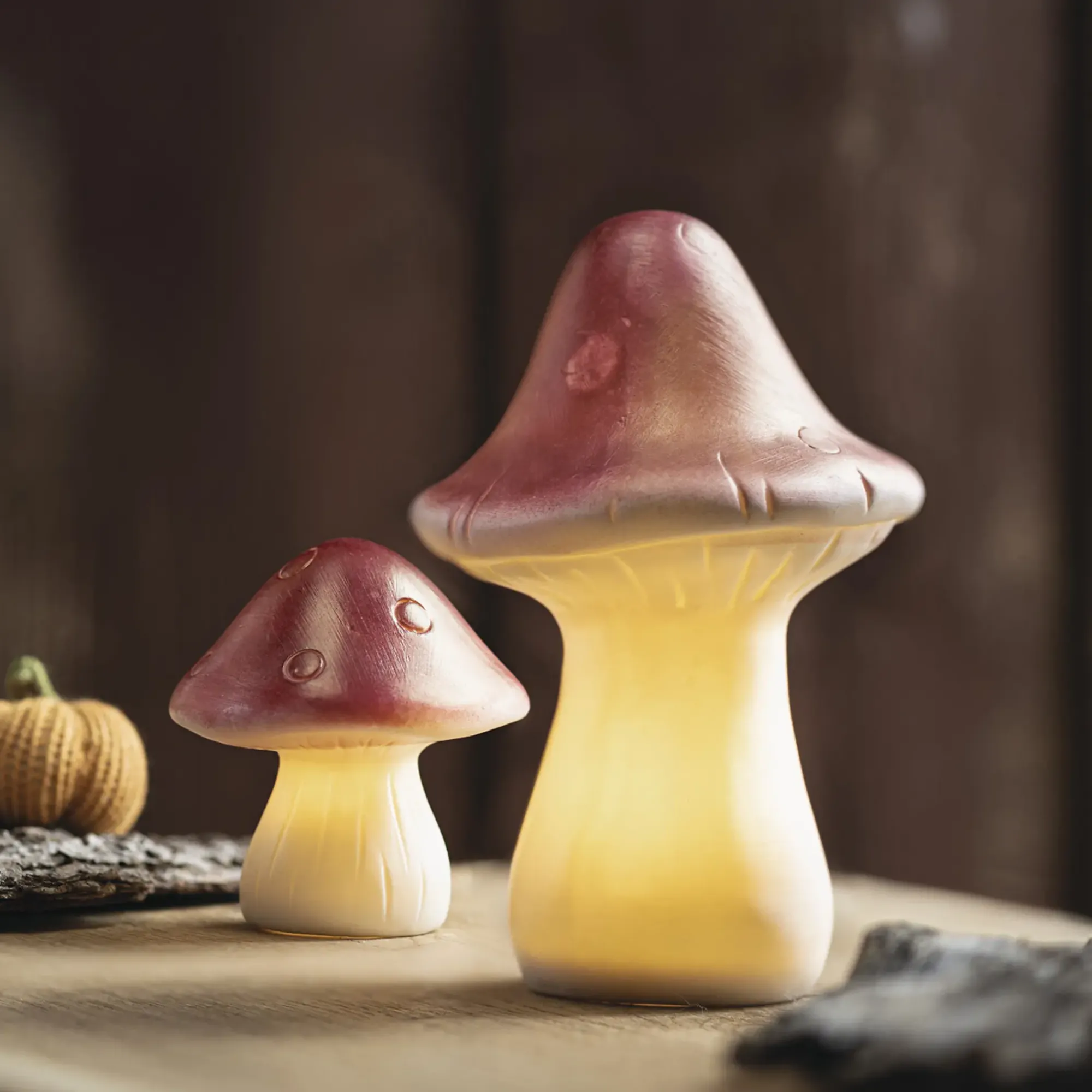 Dekopilze|Herbstliche Led-Leuchtdeko|Frank Handels GmbH & Co. KG LED-Deko "Pilz", 2er Set