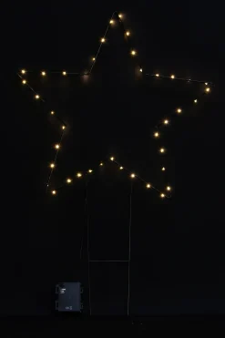 Gartenbeleuchtung|Weihnachtliche Led-Deko|Frank Handels GmbH & Co. KG LED-Gartenstecker 