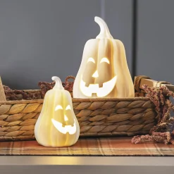 Herbstliche Led-Leuchtdeko|Dekokürbisse|Frank Handels GmbH & Co. KG LED-Kürbis "White", 2er Set
