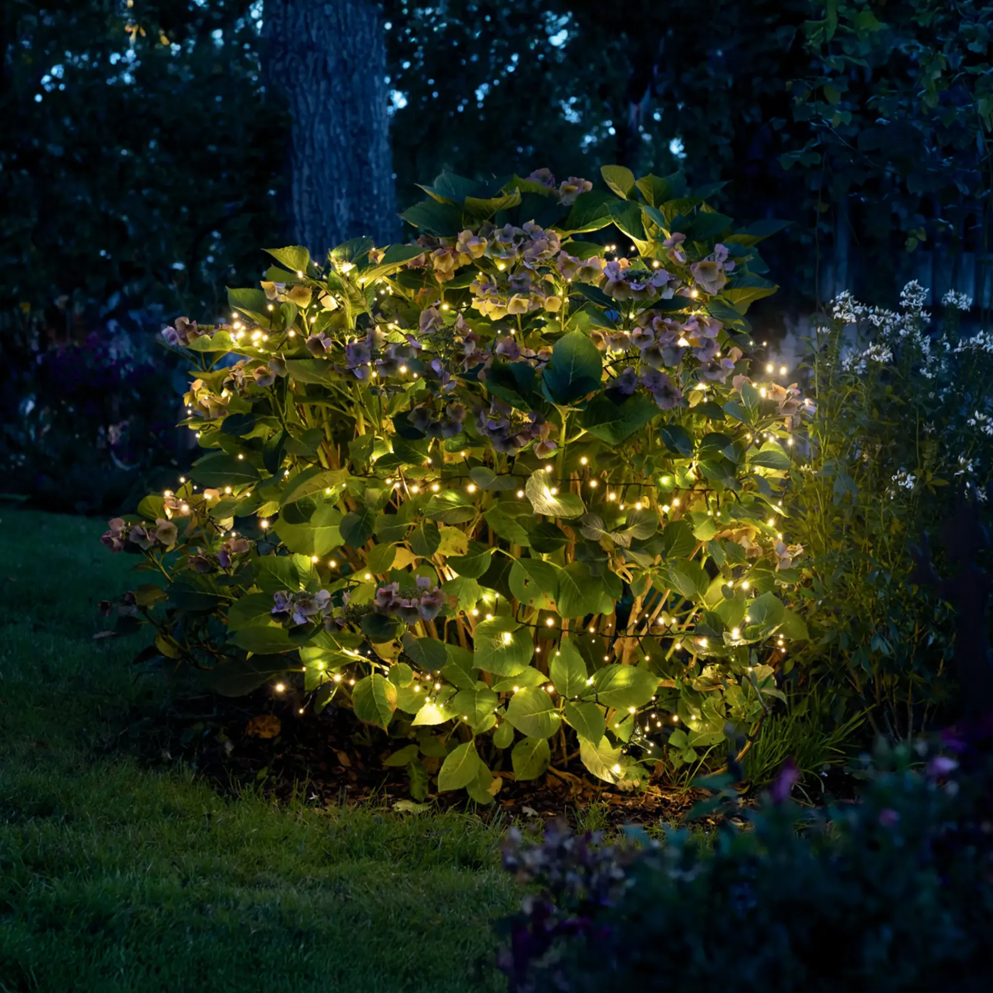 Led-Lichterketten|Gartenbeleuchtung|Frank Handels GmbH & Co. KG LED-Lichterkette "3D"