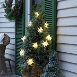 Weihnachtliche Led-Lichterketten|Baumschmuck|Frank Handels GmbH & Co. KG LED-Lichterkette 