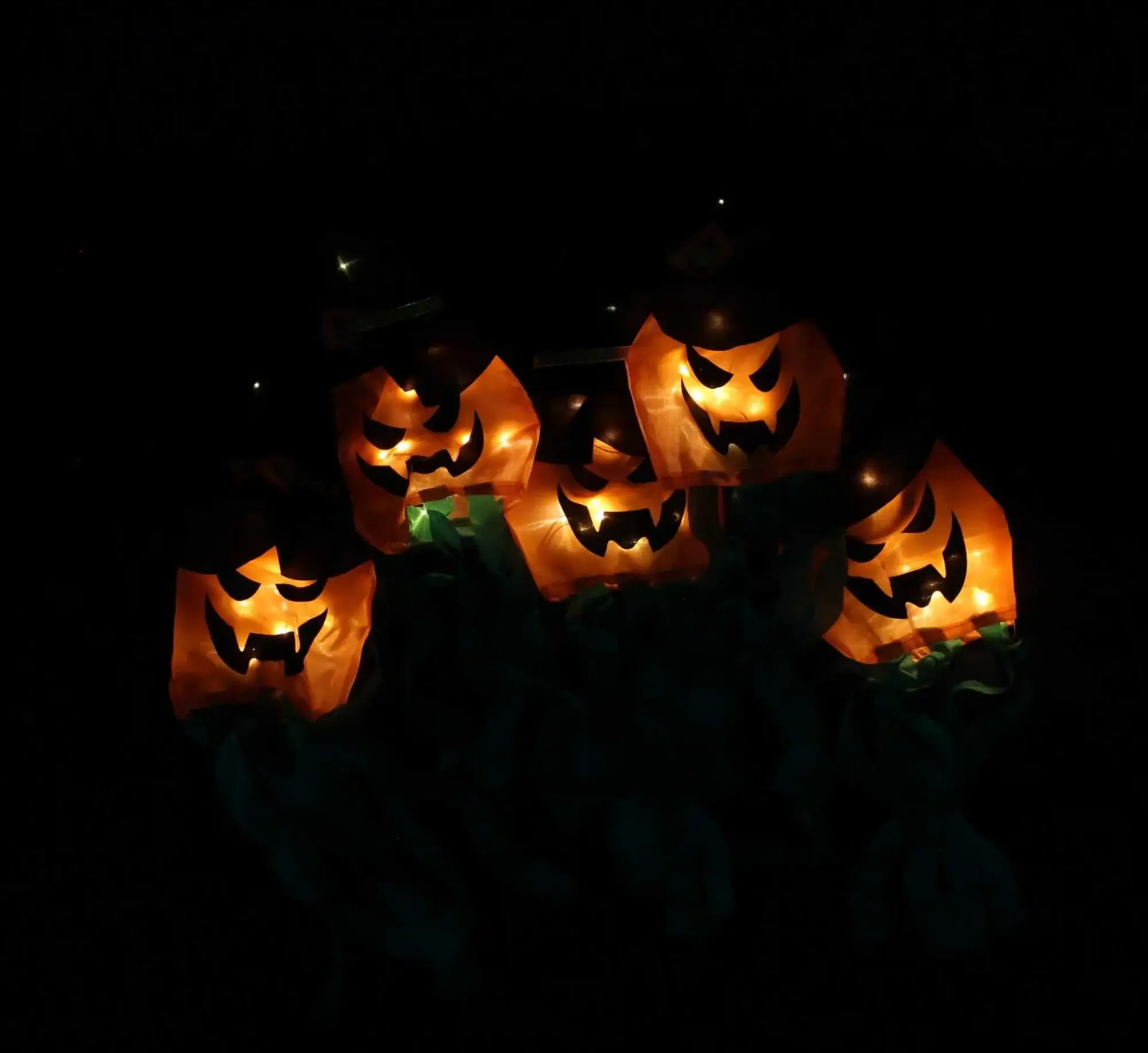 Herbstgarten|Herbstliche Led-Leuchtdeko|Frank Handels GmbH & Co. KG LED-Lichterkette "Halloween"