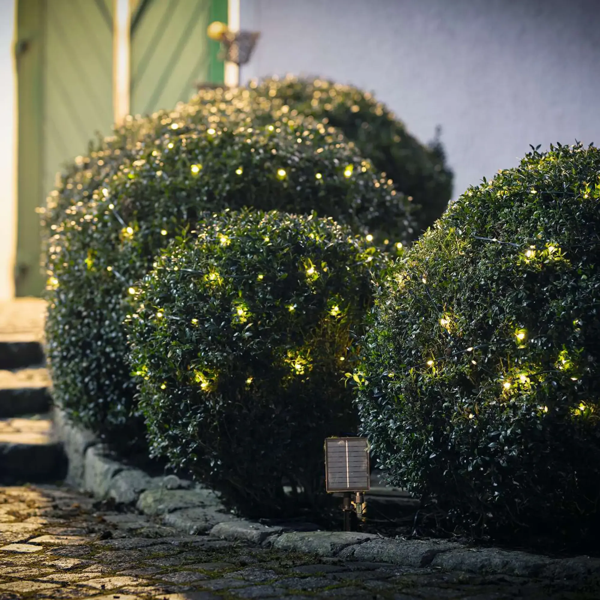 Herbstgarten|Gartenbeleuchtung|Frank Handels GmbH & Co. KG LED-Lichterkette "Solar"