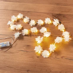 Led-Lichterketten|Frank Handels GmbH & Co. KG LED-Lichterkette 