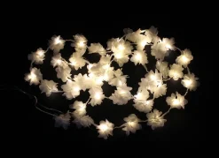 Led-Lichterketten|Frank Handels GmbH & Co. KG LED-Lichterkette 