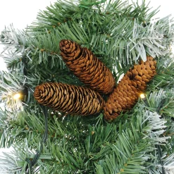 Weihnachtliche Led-Deko|Gartenbeleuchtung|Frank Handels GmbH & Co. KG Leuchtgirlande 