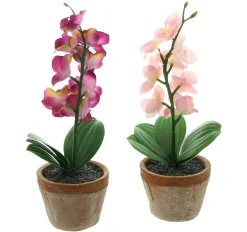 Kunstpflanzen|Frank Handels GmbH & Co. KG Orchidee im Topf, 2er Set