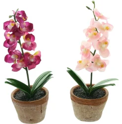 Kunstpflanzen|Frank Handels GmbH & Co. KG Orchidee im Topf, 2er Set