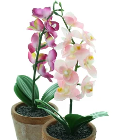 Kunstpflanzen|Frank Handels GmbH & Co. KG Orchidee im Topf, 2er Set